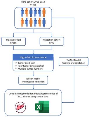 Development of a deep learning model for predicting recurrence of hepatocellular carcinoma after liver transplantation